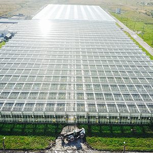 Greenhouses field, Ariel view of agriculture industry