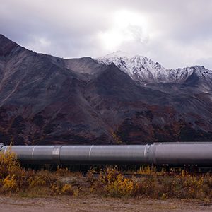 An oil pipeline carries resources from the far north in Alaska south to refineries