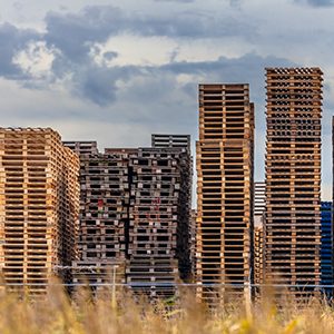 Stacked Wooden Euro Pallets at Storage area of Recycling Depot Warehouse